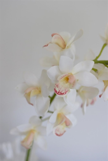 Artificial Cymbidium | Cymbidium orkidé - Small, White